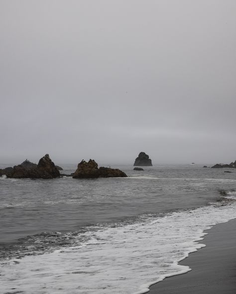 me 🤝 a foggy beach Foggy Beach Aesthetic, Foggy Island, Gloomy Beach Aesthetic, Seaside Photography, Foggy Beach, Coastal Landscape, Beach Aesthetic, Image Photography, California