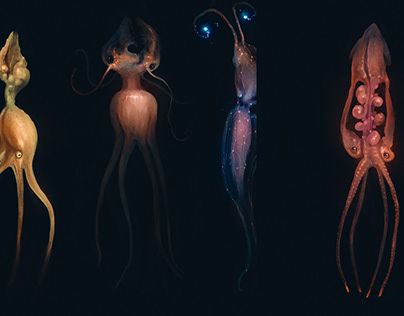 Alien Wildlife, Alien Species, Dark Creatures, Liminal Space, Clip Studio Paint, Painting Tools, Deep Sea, Dark Art, Aliens