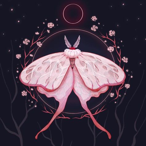 Lyolyka on Instagram: “Lady Moth #redmoon #redmoth #ladymoth #procreate #procreateart #insectart #insectillustration #ночьнаябабочка #ночьноймотылек” Moth Artwork, Pink Moth, Moth Drawing, Cute Moth, Moth Illustration, Moth Art, Symmetry Art, Insect Art, Arte Inspo