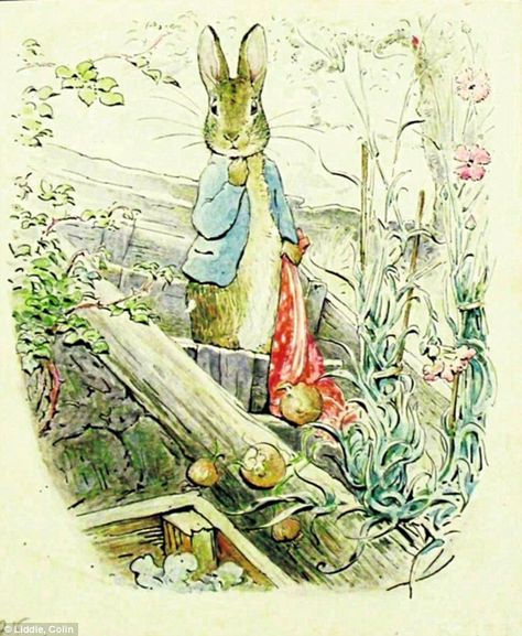 Hedgehogs and heartbreak: On the 150th anniversary of Beatrix Potter’s birth, a new exhibition and book reveal her troubled childhood - and the tragedy that scarred her Beatrix Potter Illustrations, Beatrice Potter, Peter Rabbit And Friends, Hedgehog Pet, Carl Larsson, Benjamin Bunny, Mad Hatters, Rabbit Art, Colour Print