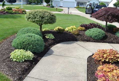 Evergreen Azaleas in a Landscape Design. Sidewalk Landscaping, Villa Architecture, Evergreen Landscape, Backyard Landscaping Plans, Easy Landscaping, Front Landscaping, Evergreen Plants, Home Landscaping, Front Yard Garden