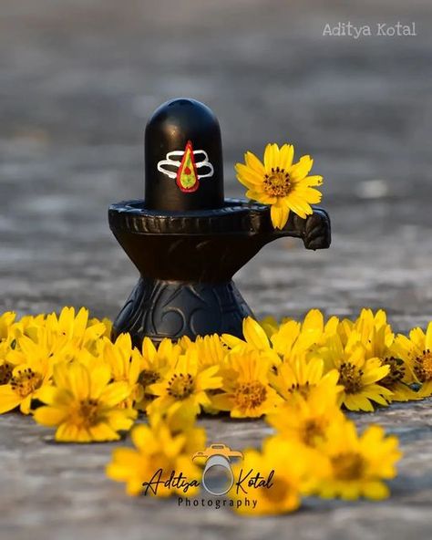 Beautiful Shivling Images, Shivalingam Wallpaper Hd, Shivudu God Photos, Lord Shiva Dp, Sivan Lord, Shivling Images, Lord Shiva Images, Shivratri Wallpaper, Flowers Dp