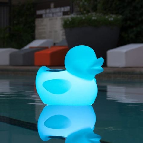 Pool Speakers, Duck Pool, Bathroom Moodboard, Shipping Container Swimming Pool, Pool Inspiration, Pool Stuff, Kevin Lee, Pool Room, Pool Life