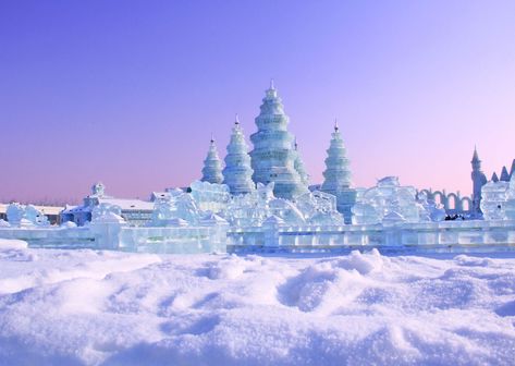 Ice Lanterns, Up Helly Aa, Festivals In China, Ice Festival, Snow Festival, Hot Air Balloon Festival, Ice Sculpture, Ride Bicycle, Festival Image