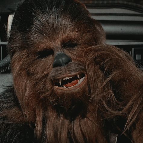 Chewbacca Aesthetic, Skywalker Aesthetic, Star Wars Icon, Themed Icons, Wars Aesthetic, Star Wars Anakin, Galactic Heroes, Star Wars Trilogy, Star Wars Stormtrooper