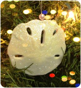 Sand Dollar Ornament Sand Dollar Ornaments Diy Christmas Decorations, Sanddollar Ornaments, Sand Dollar Christmas Art, Sand Dollar Santa, Sand Dollar Christmas Ornaments, Sand Dollar Snowman Ornament, Summer Flip Flop Wreath, Sand Dollar Craft, Fall Monogram Wreath