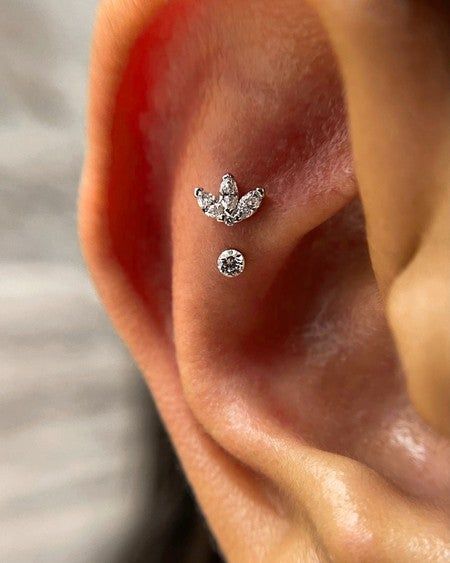 Show off your favorite diamond studs in the Contraconch, the small ridge of skin right outside the Conch and below the TASH Rook. Contraconch Piercings, Contra Conch Piercing, Contra Conch, Conch Ear Piercing, Outer Conch Piercing, Outer Conch, Conch Piercing Stud, Ear Stacks, Ear Curation