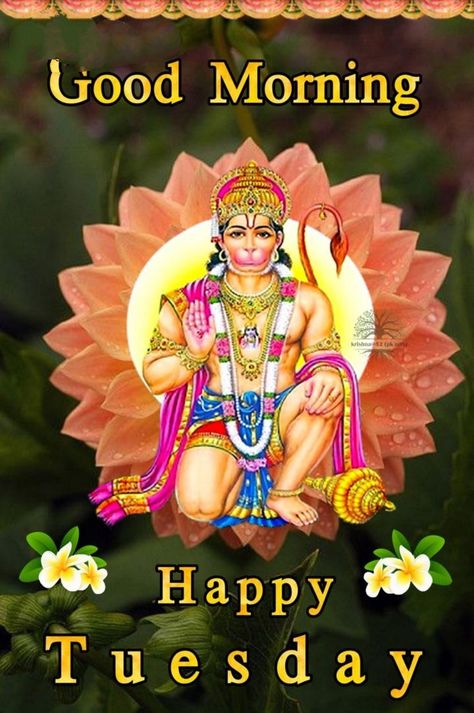 Happy Tuesday Images, Gud Morning Images, Tuesday Images, Good Morning Tuesday, Morning Sweetheart, Shri Hanuman, Good Morning Flowers Pictures, Hanuman Images, Good Morning Happy