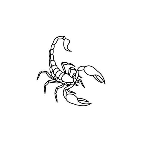 Drawing Of A Scorpion, Squirpion Tattoo, Scorpion Linework, Scorpion Minimalist Tattoo, Scorpion Drawing Simple, Little Scorpion Tattoo, Simple Scorpion Tattoo, Scorpion Tattoo Drawing, Scorpion Tattoo Stencil