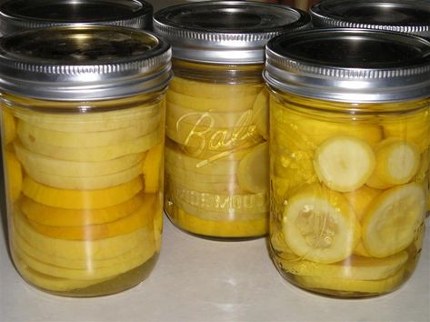 How to can summer squash. Canning Squash, Can Squash, Canned Zucchini, Canned Squash, Squash Zucchini, Canning Vegetables, Canning Food Preservation, Canned Food Storage, Canning Tips