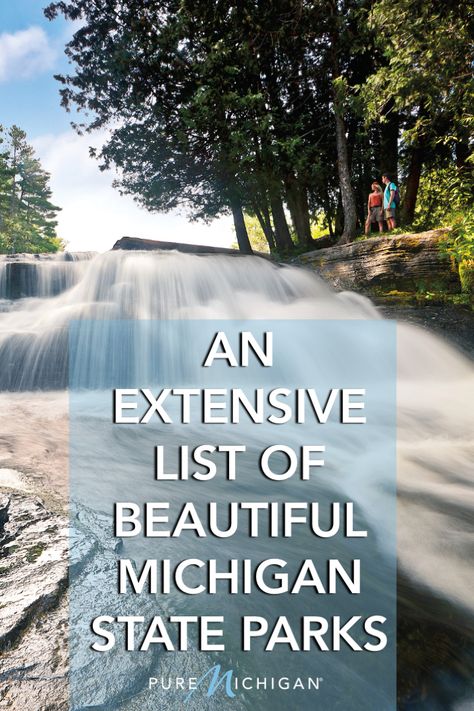 Michigan Summer Vacation, Rustic Camping, Summer Vacation Ideas, Michigan State Parks, Michigan Adventures, Michigan Road Trip, Michigan Summer, Michigan Vacations, Dense Forest