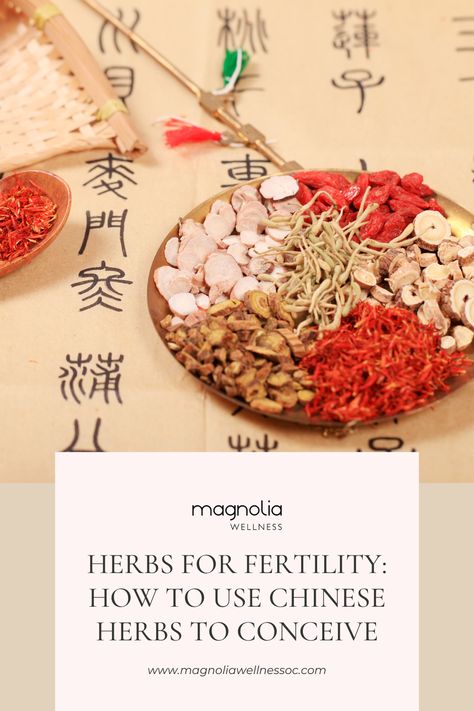 wHerbs for Fertility: How to Use Chinese Herbs to Conceive | Magnolia Wellness OC Chinese Fertility, Moon Herbs, Fertility Herbs, Herbs For Fertility, Chaste Tree, Red Raspberry Leaf, Egg Quality, Progesterone Levels, Improve Fertility