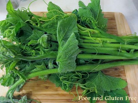 Poor and Gluten Free (with Oral Allergy Syndrome): What to do with Squash Leaves and Stems: 9 Gluten Free Ways to Use Squash Leaves (Tenerumi) What To Do With Squash, Pattypan Squash Recipes How To Cook, How To Prepare Squash, Squash Leaves, Canning Squash, Early White Bush Scallop Squash Recipes, Yellow Bush Scallop Squash Recipe, Green Vegetable Recipes, Tatume Squash Recipes