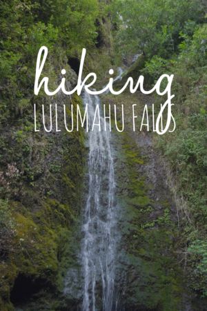 Lulumahu Falls + SaltWaterVibes Sacred Falls Oahu, Oahu Waterfall Hikes, Shivanasamudra Falls, Oahu Hawaii Waterfall Hikes, Moana Falls Oahu, Follow Dreams, Oahu Vacation, On My Birthday, Travel Blogging