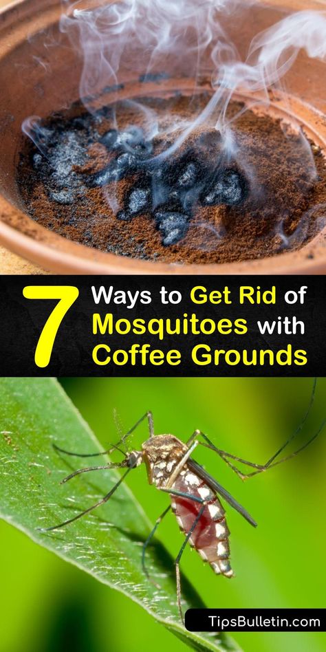 After being ground, coffee bean residue is a perfect mosquito repellent to repel mosquito pests. Fresh or burnt coffee grounds repel mosquitoes due to their pungent aroma. Add them to water, sprinkle them around, or burn them for mosquito control. #coffee #grounds #mosquitoes #getridof What Kills Mosquitos, Natural Mosquito Repellant For Home, Plants That Ward Off Mosquitos, Home Mosquito Repellent, Pest Repellent Diy, Best Mosquito Repellent For Yard, Natural Mesquite Repellent, Mosquitoes Repellent For Yard, Indoor Mosquito Repellent Diy