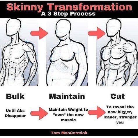 The 3 Step Skinny Guy Transformation @flat_whites_free_weights @fitness_model.1  To pack muscle on the scales need to move. To achieve this… Lean Bulk, Free Weights, Gym Tips, Maintain Weight, Strong Muscles, Leg Day, Gain Muscle, Weights Workout, Train Hard