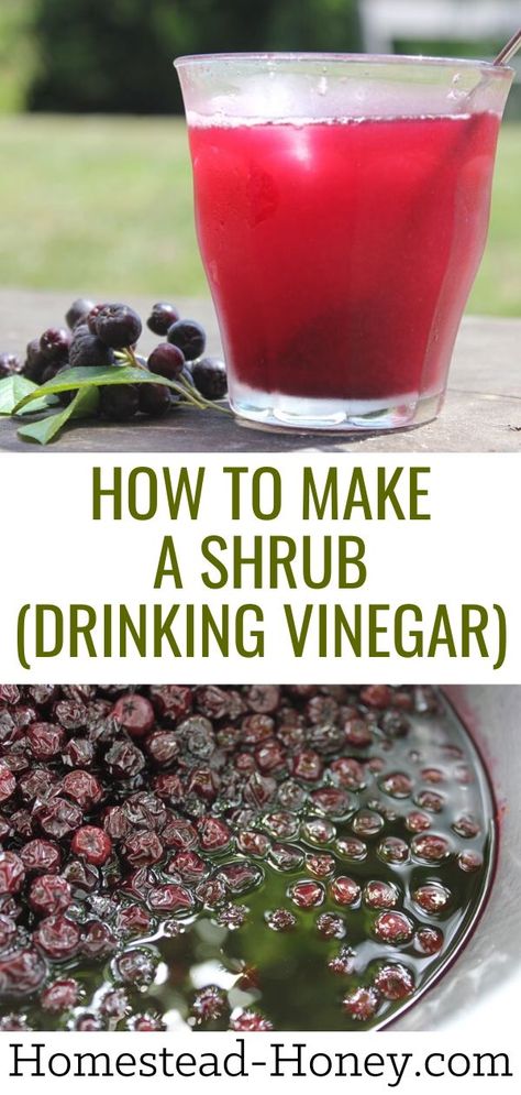 Cherry Shrub Recipe, Fruit Shrubs, Shrub Drink, Fruit Shrub, Shrub Recipe, Vinegar Drinks, Fruit Syrup, Aronia Berries, Drinking Vinegar