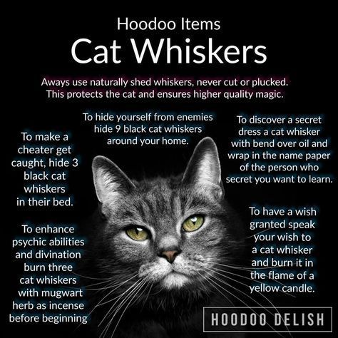 Cat Spells, Hoodoo Magic, Hoodoo Conjure, Hoodoo Spells, Voodoo Hoodoo, Wiccan Witch, Eclectic Witch, Magick Spells, Wiccan Spell Book