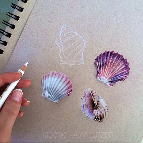 Vibrant Color Pencil Drawings Show Everyday Items in Incredible Detail Georgina Kreutzer, Art Galaxie, Kristina Webb, Seashell Tattoos, Colored Pencil Drawings, Draw Color, Prismacolor Art, Galaxy Colors, Art Colour