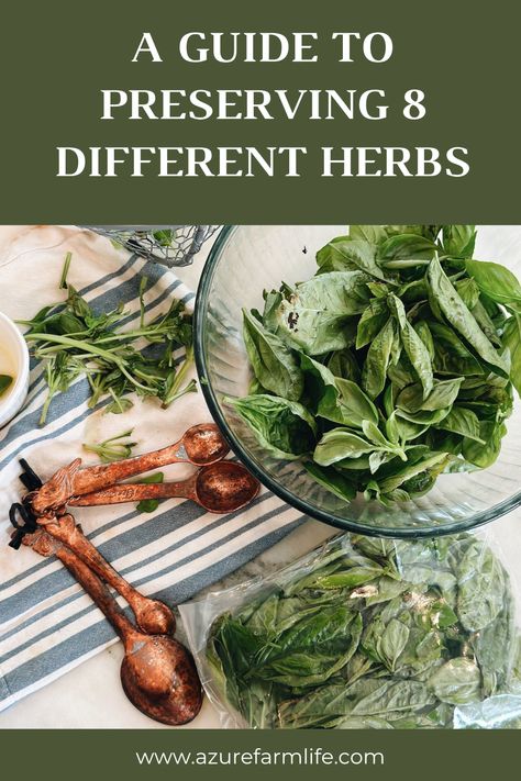 A Guide to Preserving Herbs Before the First Frost Hits Preserve Herbs, Quick Pasta Sauce, Herb Growing, Drying Mint Leaves, Preserving Herbs, Infused Butter, Sage Butter, How To Dry Sage, Roasted Squash