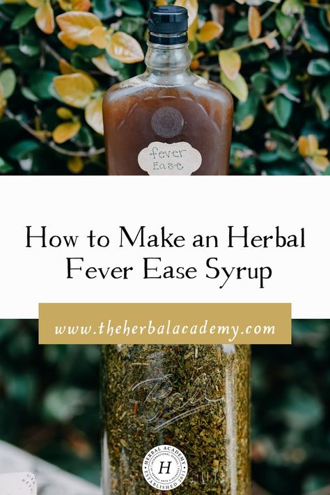 Tinctures Recipes, Herbal Academy, Natural Antibiotic, Herbal Medicine Recipes, Herbal Remedies Recipes, Diy Herbal Remedies, Herbal Tinctures, Herbal Recipes, Herbal Apothecary