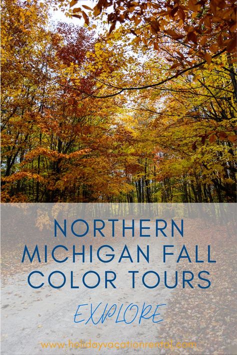 Fall is a great time to tour Northern Michigan. A canvas of bright fall colors between glistening blue lakes is an ideal backdrop for autumn travelers. Explore the beauty by driving along one of our many breathtaking fall color tours. Bright Fall Colors, Michigan Fall, Blue Lake, Northern Michigan, Fall Color, Sand Dunes, Blue Water, Fall Colors, The Beauty