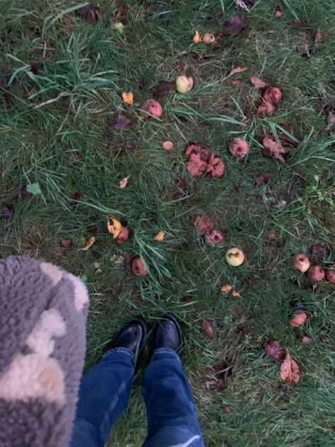 rotten apples outfit aesthetic Rotten Apple Aesthetic, Rotten Aesthetic, Autumn Apples, Rotten Apple, Apple Aesthetic, Fall Apples, Color Meanings, Outfit Aesthetic, Outfits Aesthetic