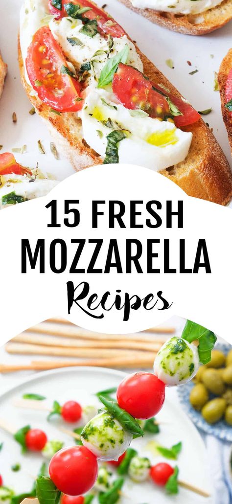 In this collection you'll find 15 terrific fresh mozzarella recipes that are easy to whip, perfect for any occasion, and absolutely delicious. #mozzarellarecipes #freshmozzarellarecipes Fresh Mozzarella Recipe Appetizers, Fresh Mozzarella Recipes, Fresh Mozzarella Appetizers, Mozerella Recipes, Fresh Mozzarella Salad, Fresh Mozzarella Recipe, Mozzarella Appetizers, Recipes With Mozzarella Cheese, Mozzarella Recipe