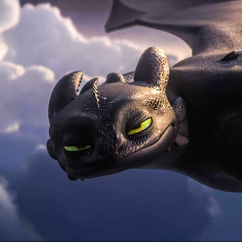 Stitch Homescreen, Toothless Aesthetic, Toothless Funny, Httyd Icons, Toothless Wallpaper, Cute Toothless, Httyd Toothless, Dragon Icon, Toothless Dragon