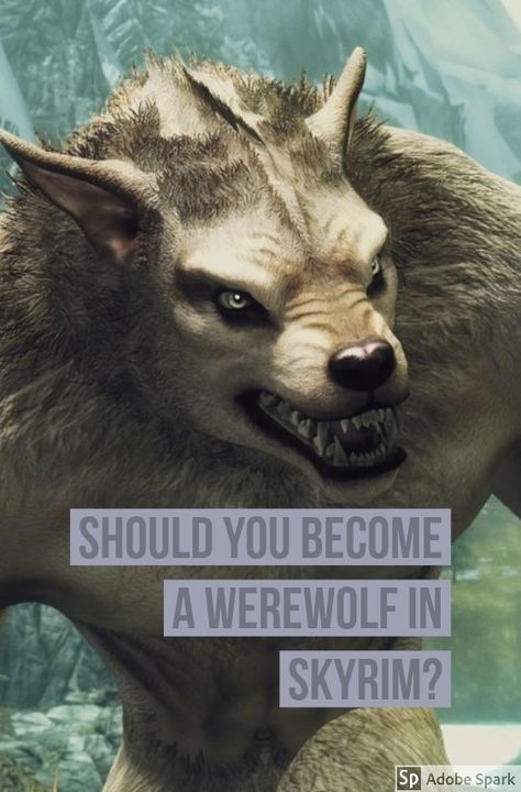 Should you become a werewolf in Skyrim? Is it worth it? Skyrim Aesthetic, Skyrim Werewolf, Skyrim Gif, Elder Scrolls Skyrim, Elder Scrolls Online, Vampires And Werewolves, Elder Scrolls, Gaming Computer, Art Tutorials Drawing