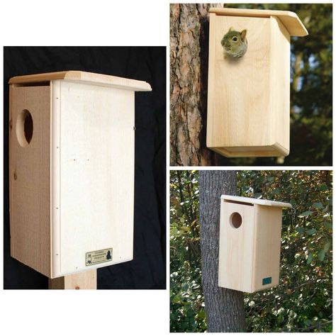 Squirrel House Diy How To Build, Nesting Boxes Diy, Squirrel Feeder Diy, Squirrel Nest, Squirrel House, Squirrel Home, Whirligigs Patterns, Cat Patio, Squirrel Feeder