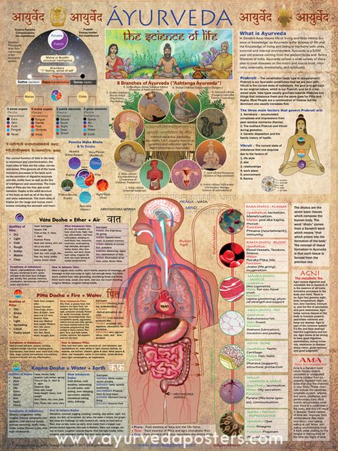 Ayurveda Pitta, Ayurveda Dosha, Ayurveda Vata, Ayurveda Recipes, Ayurvedic Diet, Ayurvedic Therapy, Ayurveda Life, Ayurvedic Recipes, Ayurveda Yoga