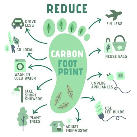 Hand-drawn footprint infographics | Free Vector #Freepik #freevector #infographic #template #chart #marketing Footprint Poster, Eco Quotes, Planning School, Environmentally Friendly Living, Save Our Earth, Foot Print, Vie Motivation, Eco Friendly Living, Environmental Science