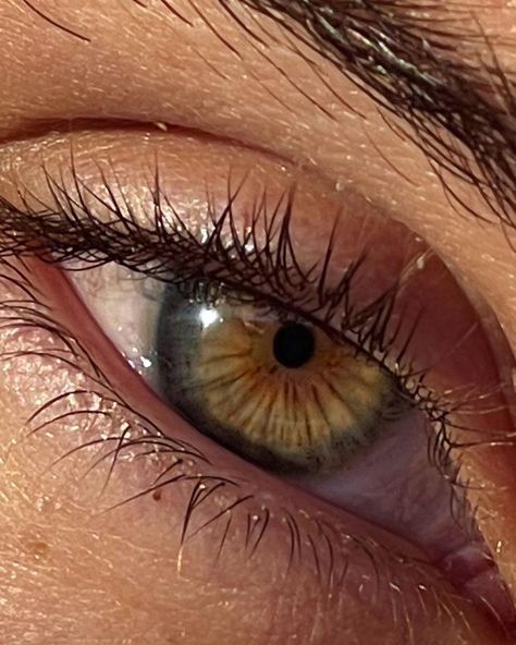 Kar’s Instagram profile post: “My window into the world” Pretty Eyes Color, Niqab Aesthetic, Eye Colours, Hazel Green Eyes, Beautiful Eyes Color, Hazel Green, Charming Eyes, Human Eyes, Makeup Accesories