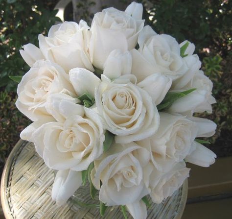 white tulip and white rose bouquet - Google Search Bridal Flower Bouquet, Beautiful Rose Garden, White Rose Bridal Bouquet, White Rose Wedding Bouquet, Wedding Flowers Tulips, La Jolla Wedding, Tulip Wedding, White Rose Bouquet, Ideas For Flowers