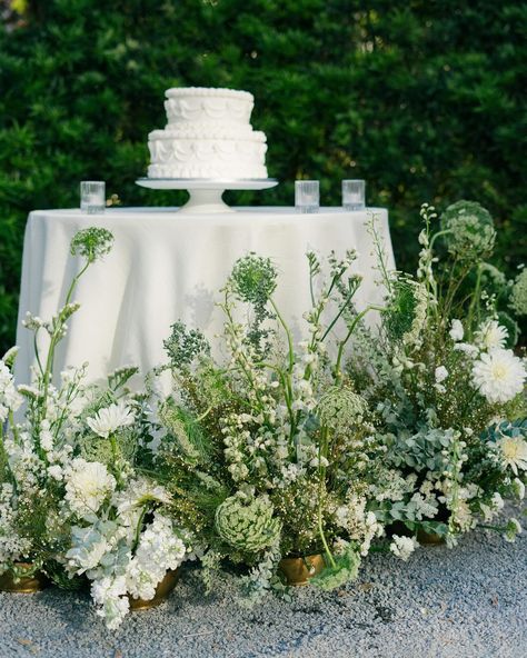 vintage cakes are one of my favorite trends as of late. the nostalgia is real 🕊️ • @trenholmphoto @rosebayfloralco @gibbesmuseumevents @snyderevents @thecoordinationcompany @bridalbeautyauthority @mlevententertainment I Vintage Wedding Cake, Vintage Cakes, Champagne Tower, Wedding Cakes Vintage, Charleston Wedding, Vintage Cake, May 21, Vintage Wedding, Charleston