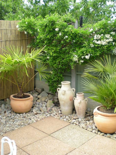 Small Meditteranean Gardens, Mediterranean Garden Ideas Uk, Mediteranean Houses Garden, Keto Photography, Small Mediterranean Garden Ideas, Uk Mediterranean Garden, Small Mediterranean Garden, Mediterranean Pot Plants, Mediterranean Planting Scheme