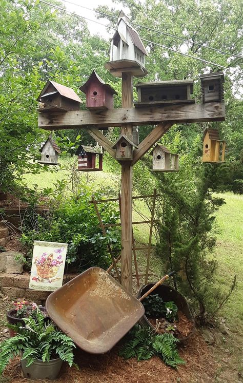 Bird Houses In The Garden, Backyard Birdhouse Ideas, Corner Container Garden Ideas, Bird House Garden, Birdhouse Garden, Bird House Posts Ideas, Birdhouse On Post Ideas, Birdhouse Display Ideas Gardens, Rustic Birdhouses