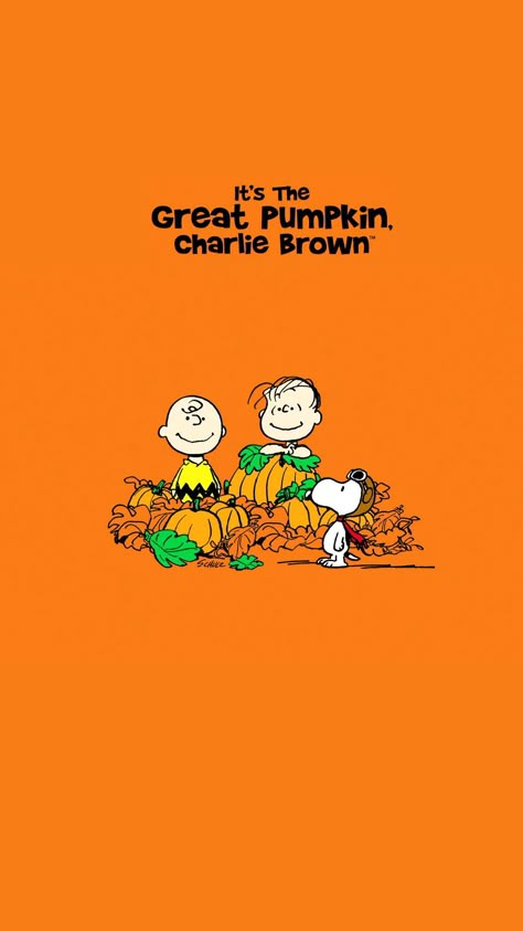 It’s The Great Pumpkin Charlie Brown Wallpaper, Halloween Peanuts Wallpaper, Charlie Brown Thanksgiving Wallpaper, Charlie Brown Halloween Wallpapers, Great Pumpkin Charlie Brown Wallpaper, Charlie Brown Fall, Charlie Brown Wallpaper, Wallpaper Snoopy, Peanuts Wallpaper