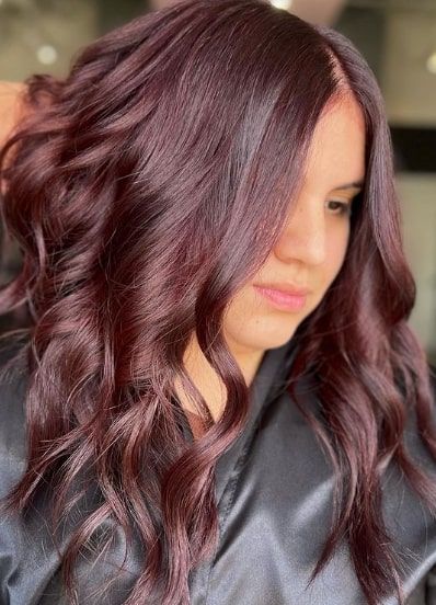 Dark Red Velvet Burgundy Hair Color Hair Color Dark Red, Deep Burgundy Hair Color, Deep Burgundy Hair, Burgundy Hair Color, Dark Red Velvet, Trendy Updos, Lady Lovely Locks, Brooklyn And Bailey, Wine Hair