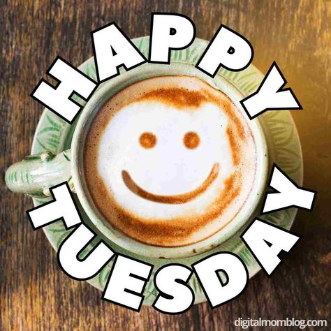 Happy Tuesday Quotes Funny, Tuesday Coffee Humor, Tuesday Humor Funny Hilarious, Happy Tuesday Coffee, Tuesday Morning Coffee, Happy Tuesday Meme, Tuesday Quotes Funny, Work Related Quotes, Tuesday Coffee