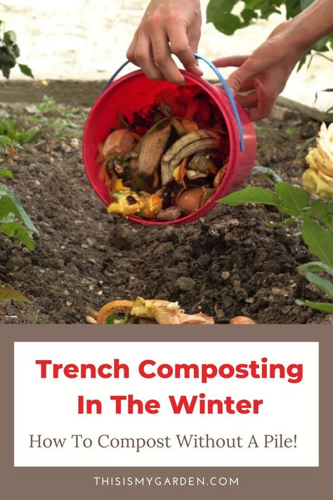 You don't really need to have a huge compost pile in order to create amazing black gold for your garden! Trench composting is the practice of burying compostable materials directly into the soil - No pile needed! Find out how in this in-depth article.