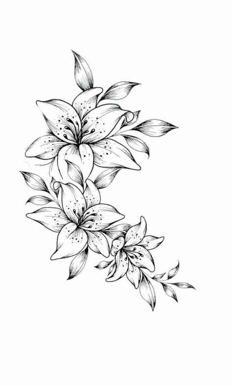 Flower Tattoos For Shoulder, Lily Flower Vine Tattoo, Lily Flower With Hummingbird Tattoo, Jasmine Flower Tattoo Arm, Flower Tattoos On Legs For Women, 3 Lily Tattoo Design, Lily Thigh Tattoo Women, Azalea Line Drawing, Jasmine Flowers Tattoo