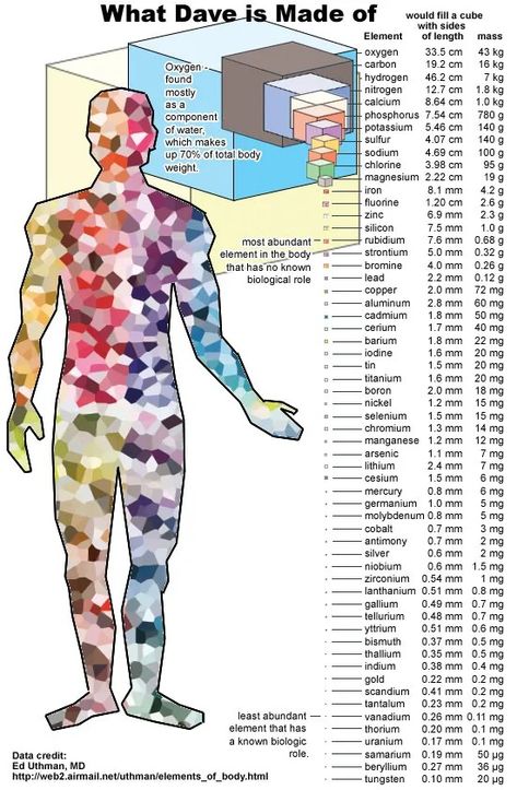 The idea that matter is mostly empty space is mostly wrong - Big Think Teaching Chemistry, High School Science, Middle School Science, Body Systems, Anatomy And Physiology, Science Teacher, Biochemistry, Science Classroom, Science Education