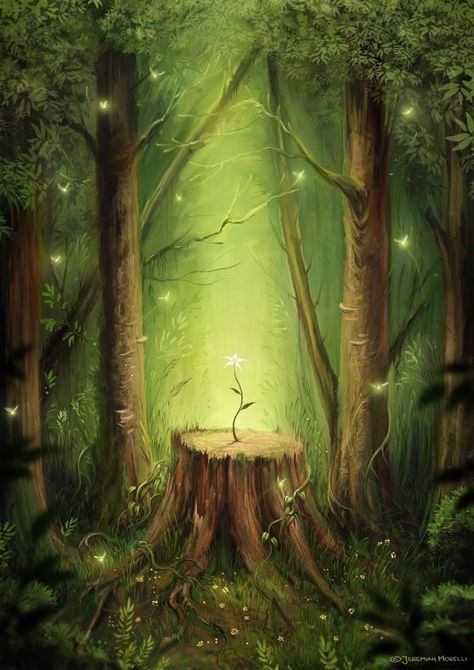 Forest Drawing, Storybook Art, Beautiful Night Images, Fantasy Forest, Fantasy Paintings, Fantasy Art Landscapes, Forest Fairy, Magical Forest, Art Inspiration Painting