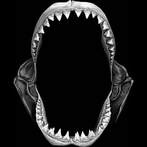 Embroidery Anatomy, Shark Jaw Tattoo, Shark Jaws Tattoo, Jaw Tattoo, Killer Whale Tattoo, Great White Shark Teeth, Mouth Tattoo, Shark Jaw, Abstract Tattoo Ideas