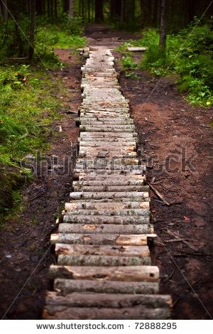 winding wood walkways | Winding forest wooden path walkway through wetlands Log Path, Wooded Backyard Landscape, Wood Pathway, Trail Ideas, Wood Walkway, Wood Path, Wooden Path, Garden Retaining Wall, Orchard Garden