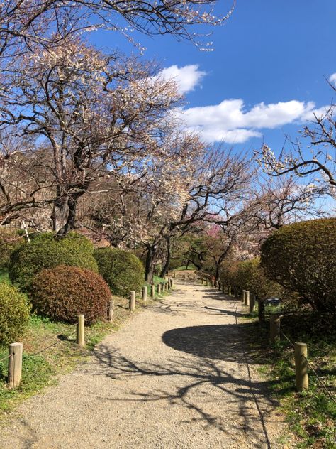 Kairakuen Garden, Ibaraki, Japan. February 26, 2023 Ibaraki Japan, Japan February, Ibaraki, Japan, Photography, Quick Saves