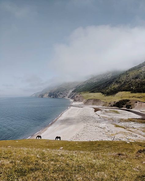 My first view of beautiful Pollett's Cove on the North-West Coast of Cape Breton Island 💙 this was once a remote fishing community but… Moon Beach, County Mayo, Cape Breton Island, Northern Cape, Cape Breton, Ireland Travel, Day Hike, Wild Horses, Nova Scotia