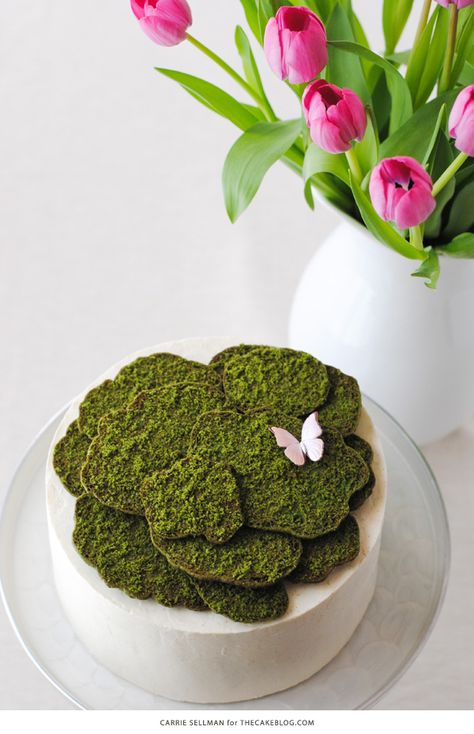 Moss Cake | how to make edible moss from sugar cookie dough | by Carrie Sellman for TheCakeBlog.com Moss Cookies, Edible Moss, Cake Tricks, Moss Cake, Delicate Desserts, Edible Grass, Moana Cake, Amazing Cookies, Diy Edible